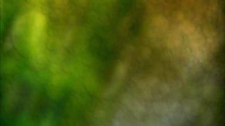 adult clip 20  solo female | free porn clip 25  xxx clip 22  Playboy TV Latin America – Surfing Attraction Siterip, hd porn stream on solo female, softcore on solo female | solo