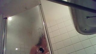 Shower bathroom 2808