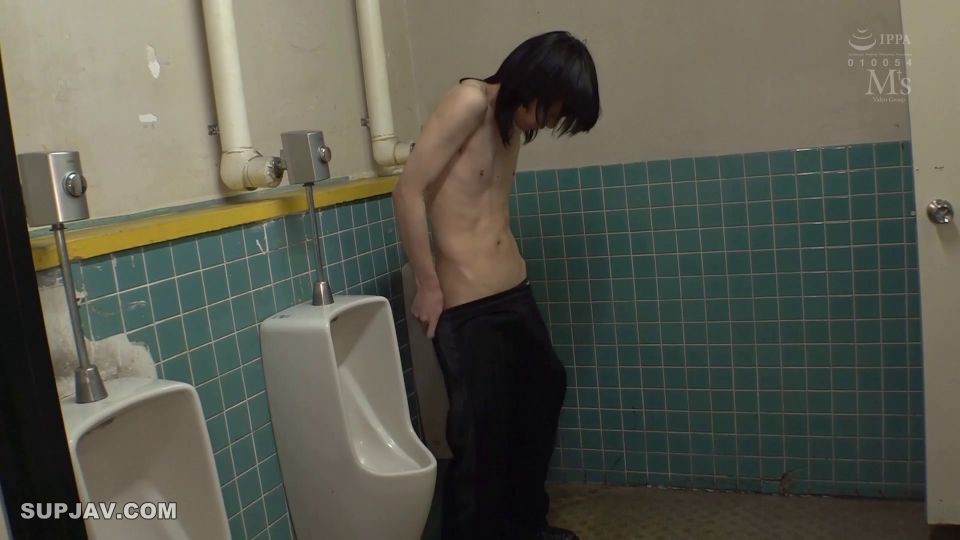 ¡Reduciendo el mosaico MVSD-555!