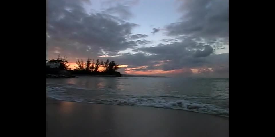 porno video 2 brutales bdsm videos Ivy Manor #3: Tropical Submission, Escena 2, Bdsm porno en bdsm porno