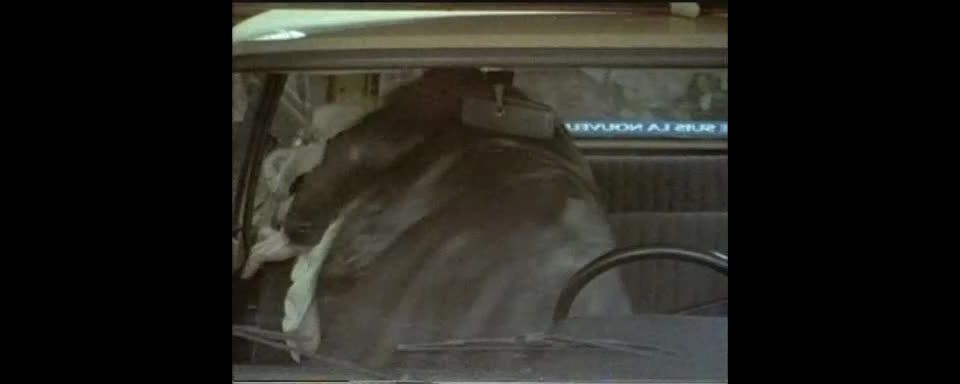 7309 Blondes Humides