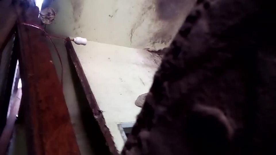 Realmente _sleazy_looking_baño