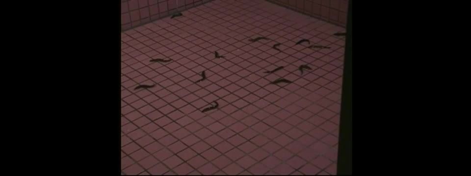 MUSOZ-0159 Fear Of Mobius Strip Sex Slave Museum - (JAV Full Movie)