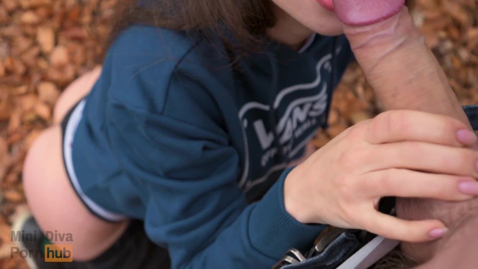 Quickie Risky Blowjob In National Park  Mini Diva 1080p