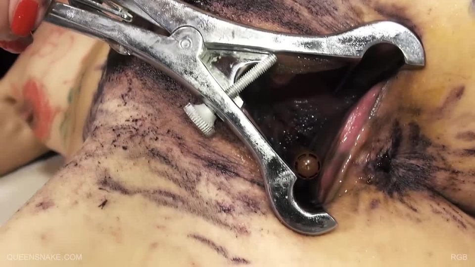 adult video clip 8 Rgb Queensnake 1 280 | fetish | fetish porn femdom ponyplay