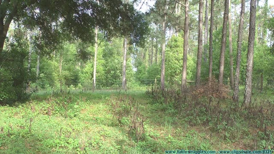 porn video 39 porno distretto italia bdsm bdsm porn | Ellen Spring Break Gone Wrong Part 1 | bdsm