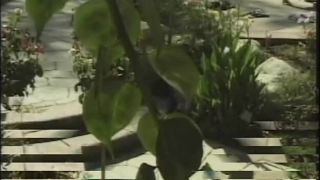 free online video 15 online clip 40 online xxx video 42 Sushi Munching Lezbos #1 - toys - lesbian girls beautiful asian sex, porn casting asian on lesbian girls , asian street xxx on asian girl porn 