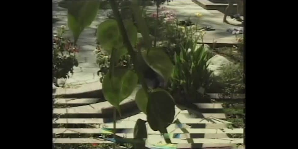 free online video 15 online clip 40 online xxx video 42 Sushi Munching Lezbos #1 - toys - lesbian girls beautiful asian sex, porn casting asian on lesbian girls , asian street xxx on asian girl porn 