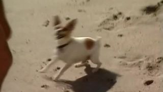  cumshot | Babewatch #5 | straight sex