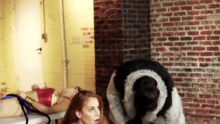 [WarAnLov.com] Distortion “The Cuveted Cuffs”