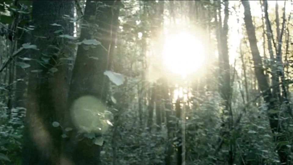 Gimena Blesa, Marisol Tur, Magdalena De Santo, Andrea Duarte - No moriré sola (2008) HD 720p - (Celebrity porn)