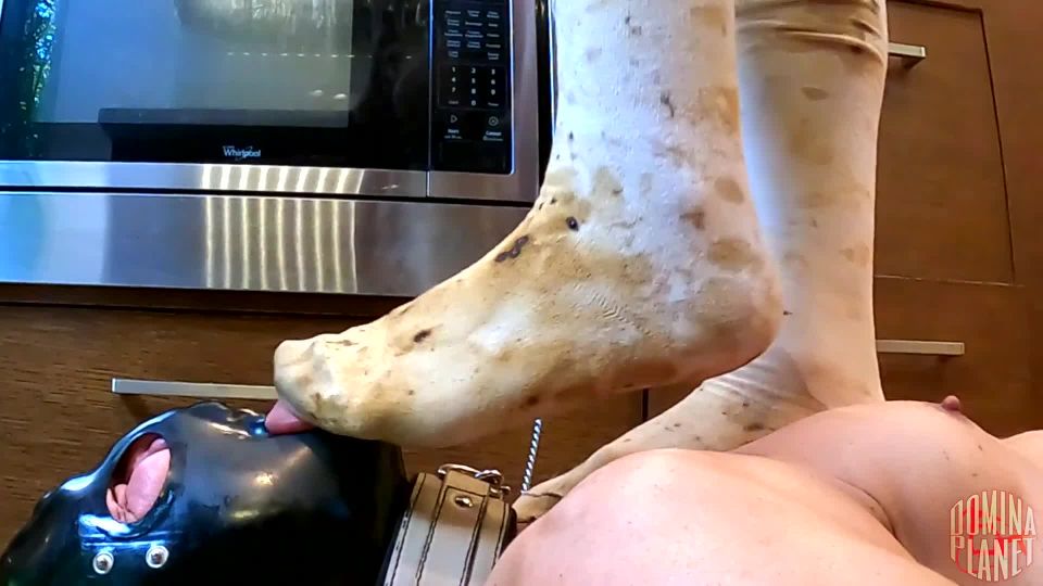 adult video 27 fetish couple feet porn | Domina Planet: Goddess Abigail - Eat My Dirty Socks And Feet | femdom
