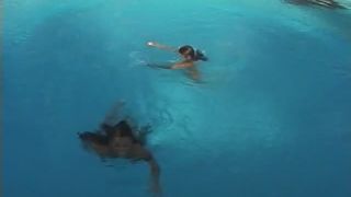 xxx clip 29 online adult clip 44 real amateur home free adult video 21 amateur male Dreamgirls - Real Adventures #29, public on amateur porn, amateur on amateur porn | outdoors | amateur porn amateur legs