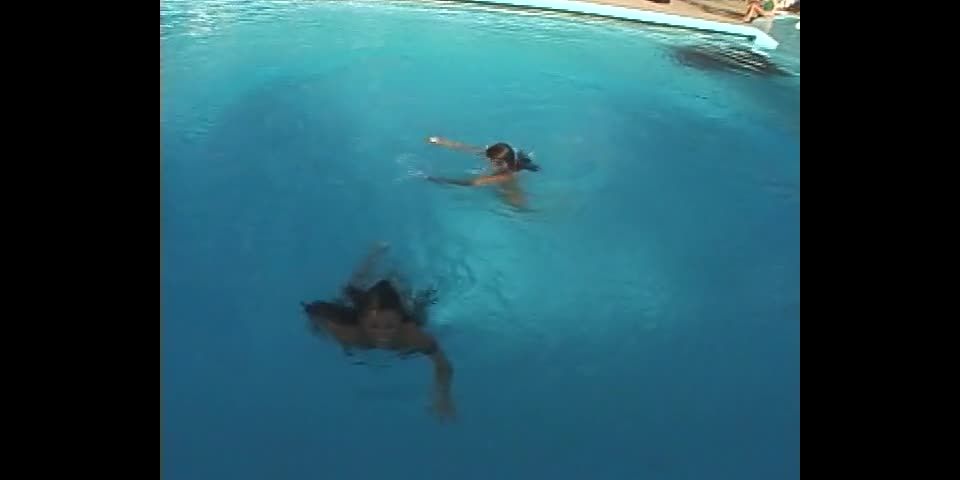 xxx clip 29 online adult clip 44 real amateur home free adult video 21 amateur male Dreamgirls - Real Adventures #29, public on amateur porn, amateur on amateur porn | outdoors | amateur porn amateur legs