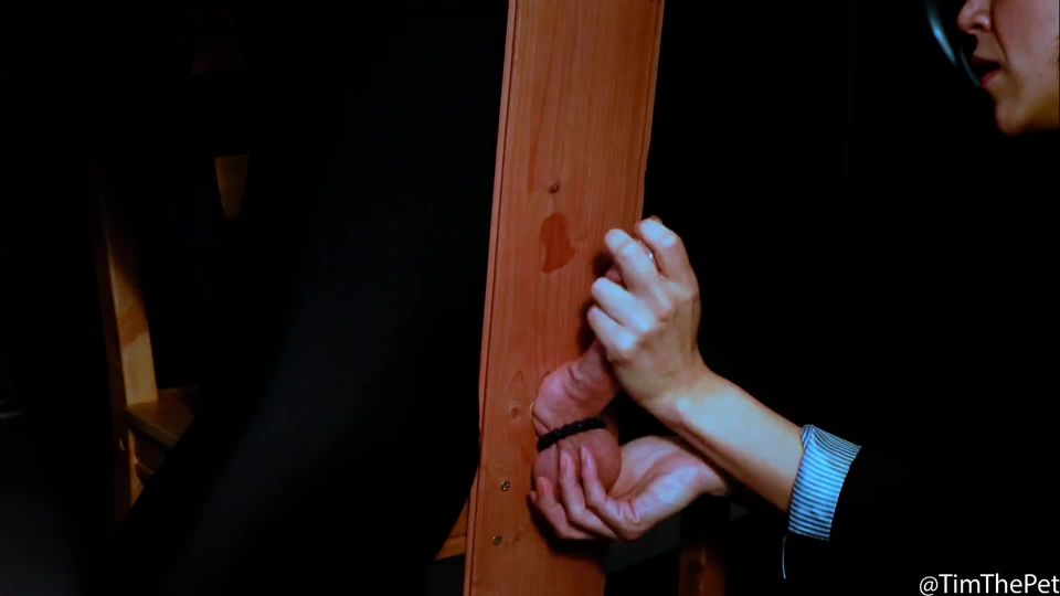 xxx video 19 fur femdom fetish porn | Ava Juices - Throbbing Aching Rock Hard Cock Draining his Balls until Empty W | fetish