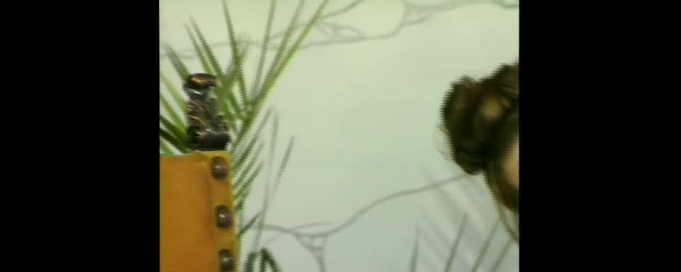 adult clip 47 free video 40 free video 20 video 45 clip 14 online xxx video 42  free online video 35 online adult clip 45 online xxx video 1 online adult clip 19 adult video clip 38  pornstar | Madalina Ray – Pornstar Collection | pornstar collection | madalina ray | pornstar ,  on pornstar  on pornstar  on pornstar , madalina ray on pornstar | pornstar collection | pornstar  - siterips - pornstar ,  on pornstar ,  on pornstar  on pornstar 