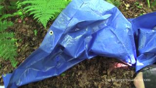 Survival of Forest Gimp