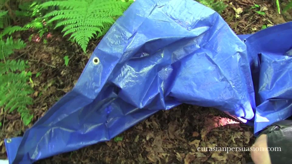 Survival of Forest Gimp