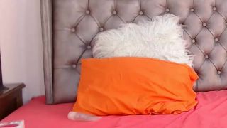 Watch Free Porno Online – Shemale Webcams Video for January 19, 2019 – 10  | shemales | shemale porn 