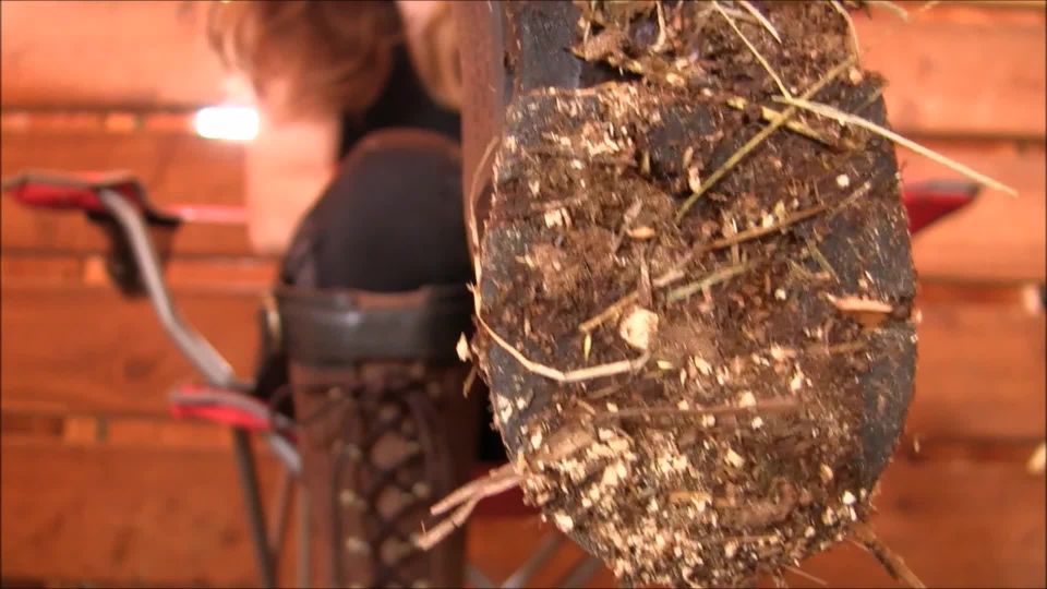 online xxx video 26 nina hartley femdom fetish porn | Mistress Victoria - A Worthy Cause | mistress victoria