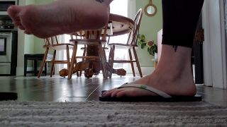 Fetish porn Sloans Paws aka sloan_paws - 11-13-2020 OnlyFans Video - In denial about winter coming so I brought these babies back video Sloans Paws