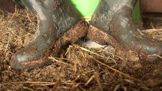 The test for booth bitch with Mistress Victoria Femdom!