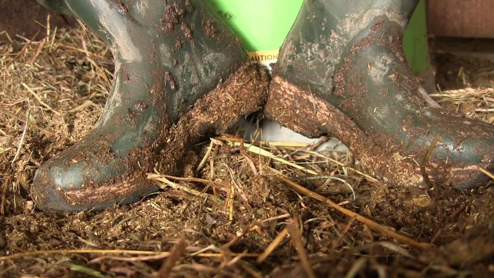 The test for booth bitch with Mistress Victoria Femdom!