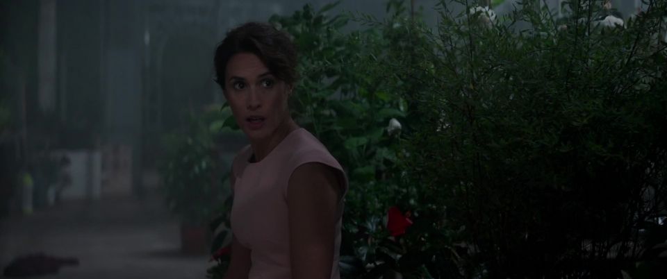 Florence Foresti, Perrette Souplex - De plus belle (2017) HD 1080p - (Celebrity porn)