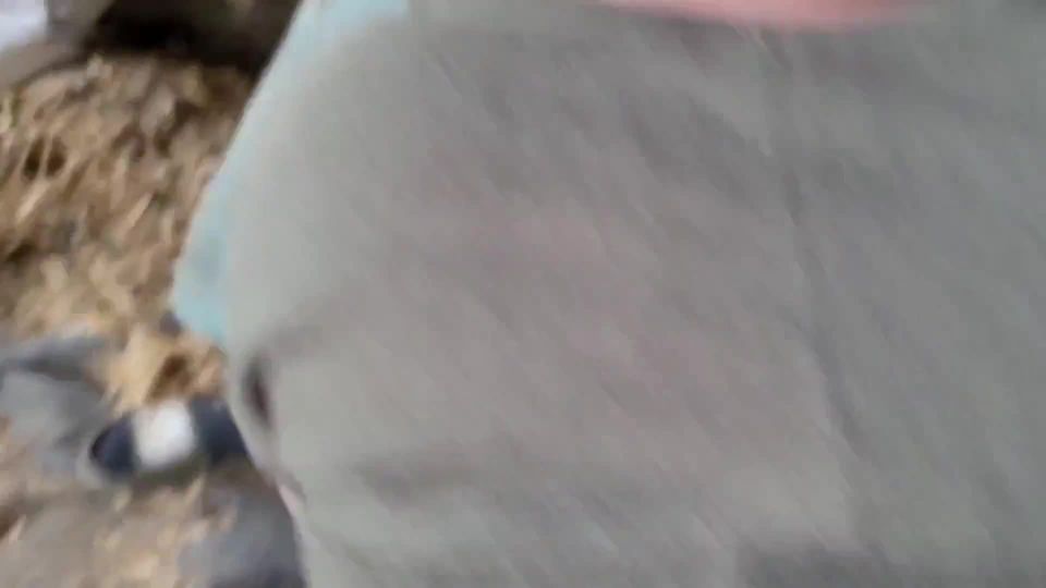 adult xxx video 19 Popp-Sylvie - 2 Jungs und ich in der schmutzigen Scheune en amateur porno amateur hace