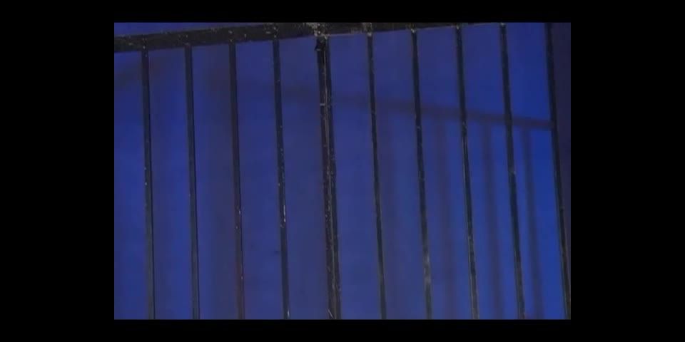 [supermisses.com] TRE-21 Heroine Insult Vol.21 – Secret Force Jewel Ranger | superheroines porn, superheroine, wonder woman