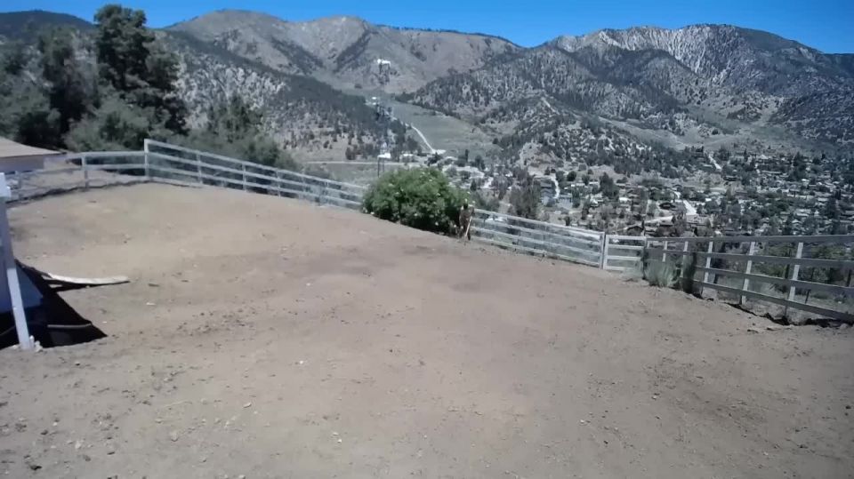 clip en línea 23 mi fetiche femdom porno  BondageLife – Mantenimiento de patio (edición de tierra) – Rachel Greyhound  bondagelife