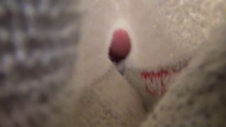 xxx video 23 Gigante del Sur – Pie Apestoso de Molli es mi nueva esposa - instrucciones de masturbación - fetiche porno marina fetiche de aplastamiento