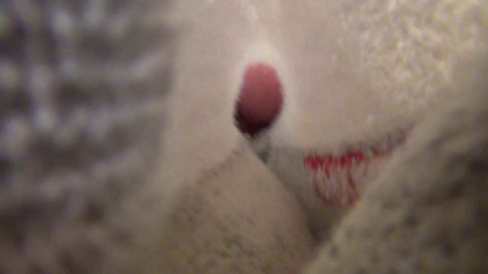 xxx video 23 Gigante del Sur – Pie Apestoso de Molli es mi nueva esposa - instrucciones de masturbación - fetiche porno marina fetiche de aplastamiento