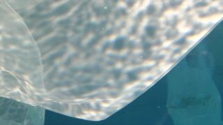 Caroline Haines, Christien Le Roux, Rebecca Kemnitz - The Drowners (2009) HD 1080p - [Celebrity porn]