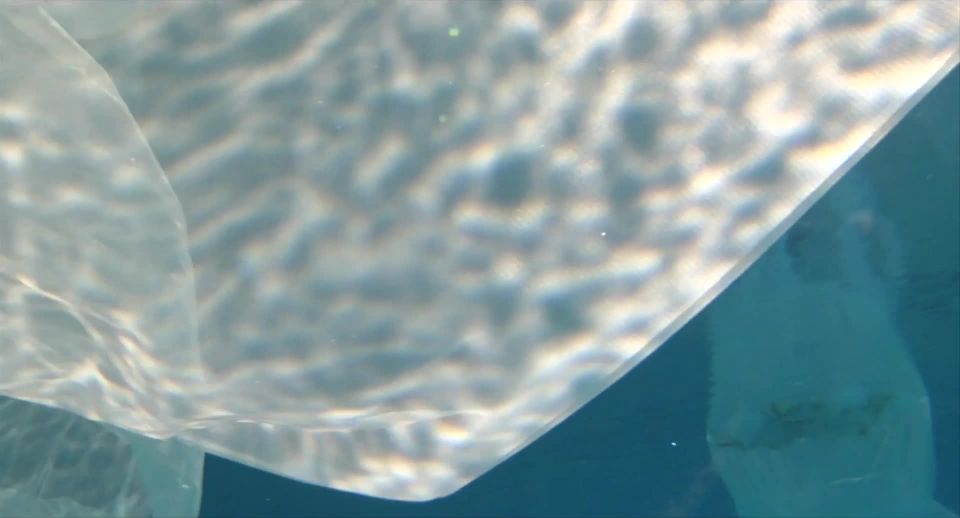 Caroline Haines, Christien Le Roux, Rebecca Kemnitz - The Drowners (2009) HD 1080p - [Celebrity porn]