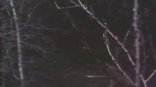 7118 California Heat - Hillary Summers, Cindy Fields, Steve L...