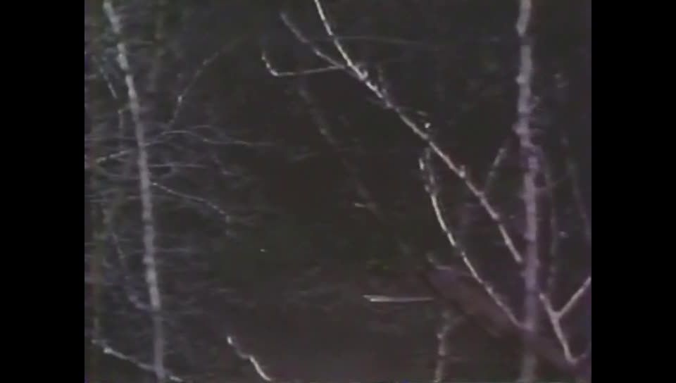 7118 California Heat - Hillary Summers, Cindy Fields, Steve L...