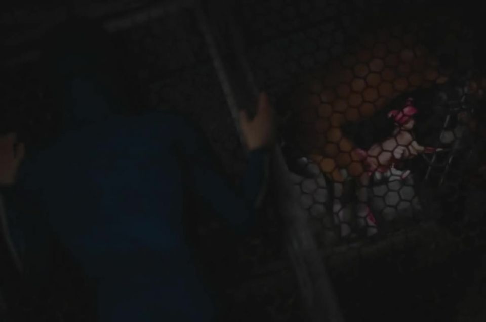 7588 Haruiro Haru Shoku Ni Some Te - Haruiro  Haru Shoku Ni S...