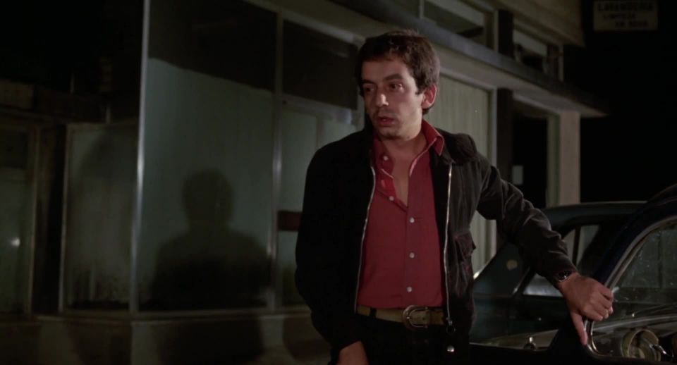 A Dragonfly for Each Corpse (1975) - (Vintage)