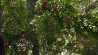 Schelaine Bennett - Good Omens s01e01 (2019) HD 1080p - [Celebrity porn]