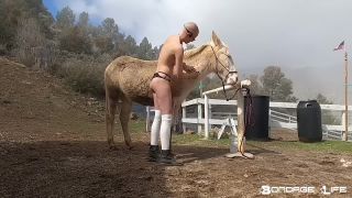 xxx video clip 48 Self Care Con Greyhound 03 13 20, botas de dominación femenina en fetiche porno