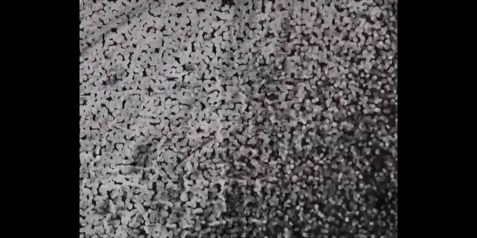 online xxx video 15 fedofo0289 | submissive | fetish porn cruel crush fetish