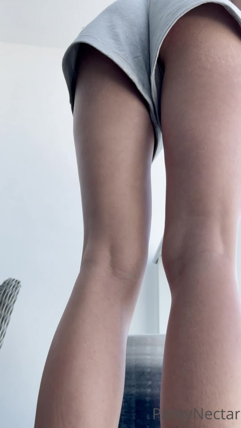 PantyNectar () Pantynectar - upshorts 28-11-2021