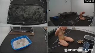 free adult video 34 (02.22.2018) Morning Ritual on bdsm porn nimin fetish fantasy