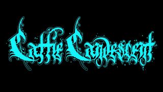 Cattie In Slurping Up K9S Balls Audio – $7.99 (Premium User Request) - [Webcam]