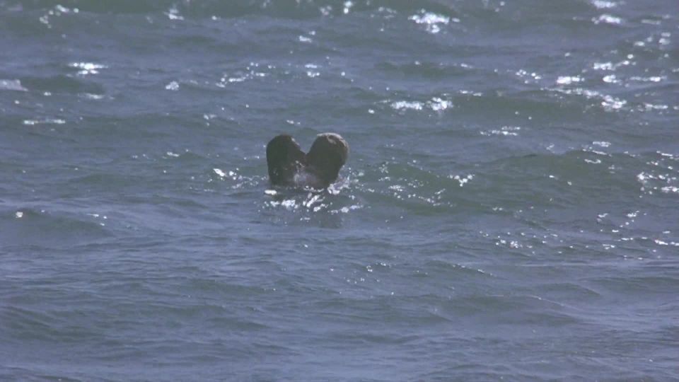 Anna Galiena – Angel Negro (2002) HD 1080p - [Celebridad porno]