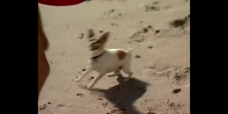 online clip 12 Babewatch #5 - crystal gold - fetish porn fucking latinas big ass