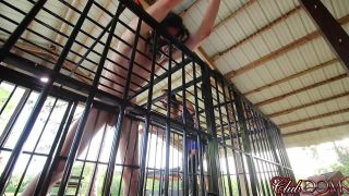 online porn video 41 Dava Foxx Caning Tiedup Douchebag - fetish - femdom porn daphne rosen femdom