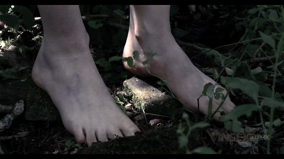 free xxx video 14 stella bdsm Sierra Cirque - Creep Charnel, 2022 on bdsm porn