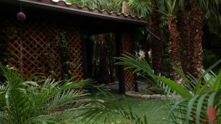 free xxx video 46 The Last Resort - Dee Williams and Syren de Mer, young girl bdsm on bdsm porn 